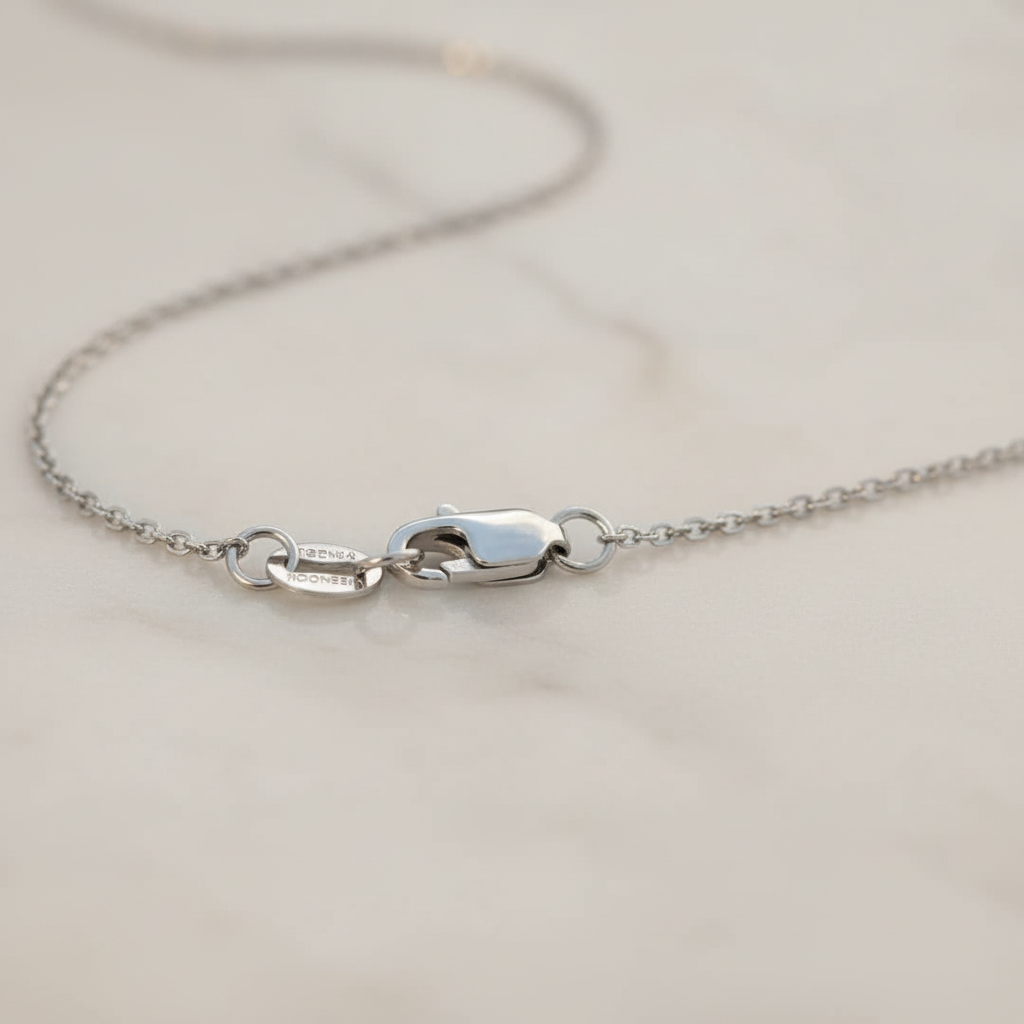 Close-up Detail of Lobster Clasp